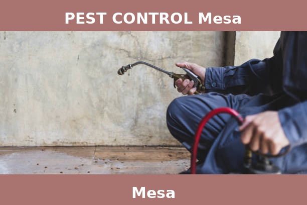 PEST CONTROL Mesa
